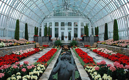 Como Park Conservatory Winter Flower Show
