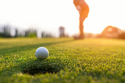 Minnesota Golf Show