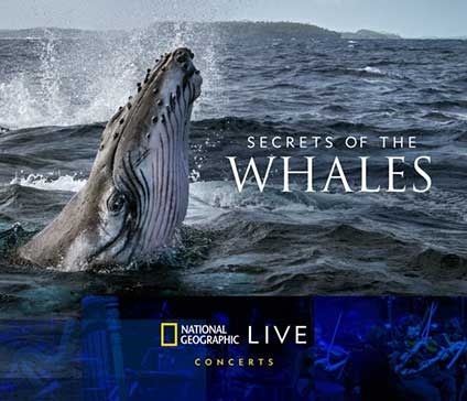 Secrets of the Whales