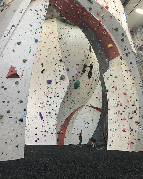 Vertical Endeavors health and wellness